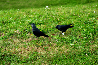 Similar image 21492162