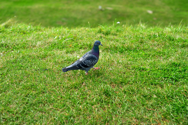 Similar image 21492163