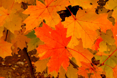 Similar image 21504113