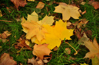 Similar image 21504114