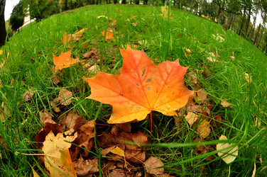 Similar image 21504251