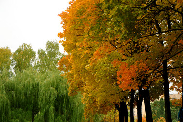 Similar image 21489303