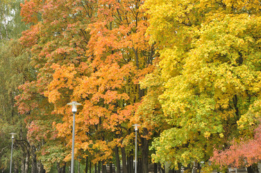 Similar image 21489304