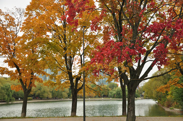 Similar image 21489305