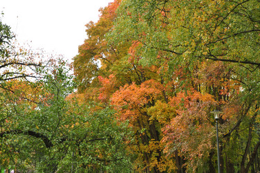 Similar image 21489306