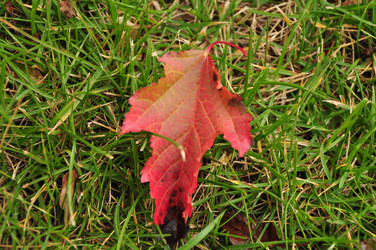 Similar image 21489307