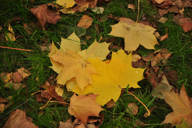 Similar image 21489308