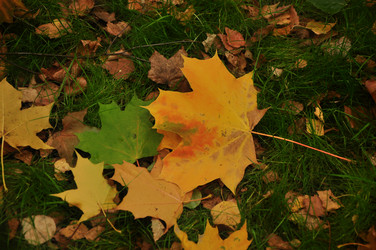 Similar image 21489309