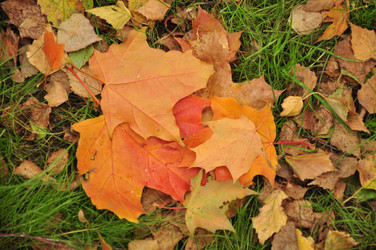 Similar image 21489310