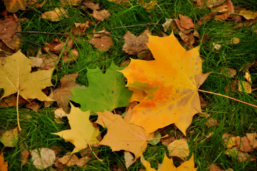 Similar image 21489311