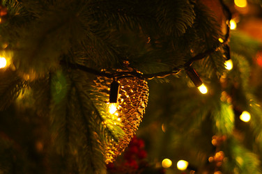 Similar image 21489587