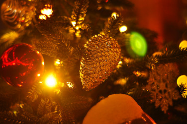 Similar image 21489588