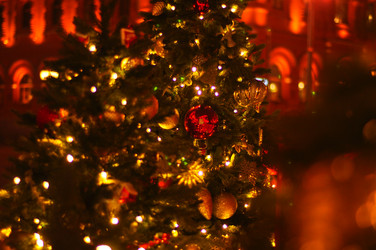 Similar image 21489589