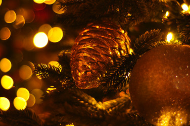 Similar image 21490077