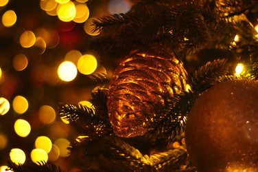 Similar image 21490079