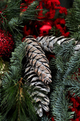 Similar image 21490082