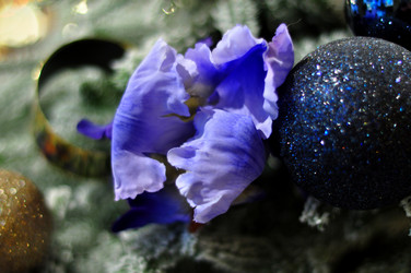 Similar image 21490083