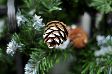 Similar image 21490087