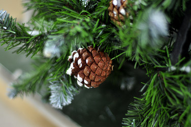 Similar image 21490088