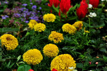 Similar image 21490091