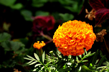 Similar image 21490092