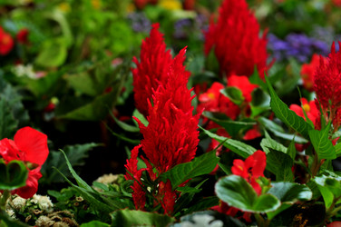 Similar image 21490094