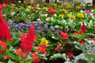 Similar image 21490096