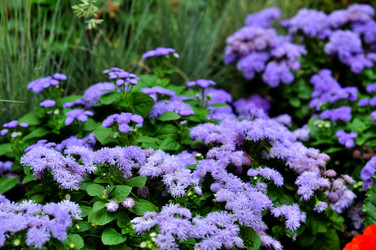 Similar image 21490097