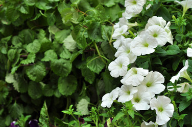 Similar image 21490098