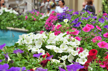 Similar image 21490100