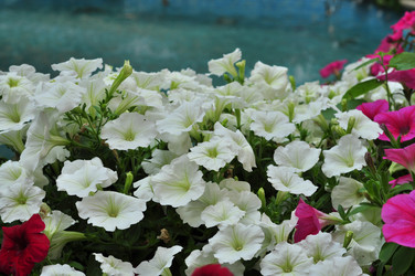 Similar image 21490102