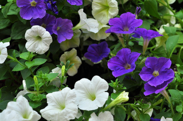 Similar image 21490103