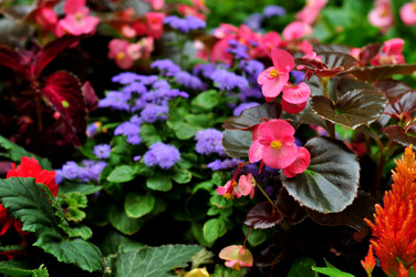 Similar image 21491629