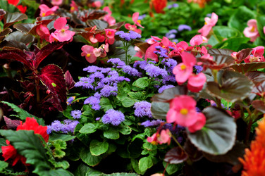 Similar image 21491630