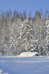 Similar image 21502641