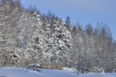 Similar image 21502642