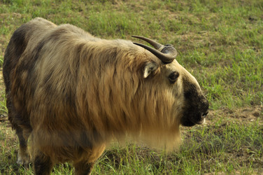 Similar image 21502840