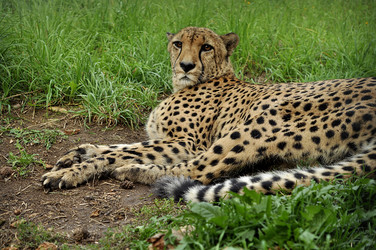 Similar image 21503509