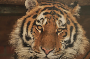 Similar image 21489313