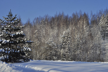 Similar image 21489315