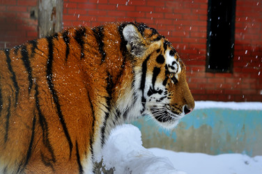 Similar image 21489316