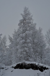 Similar image 21489317