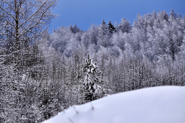 Similar image 21489320