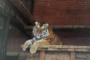 Similar image 21489590