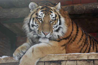 Similar image 21489591