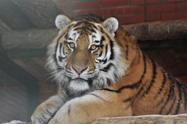 Similar image 21489593