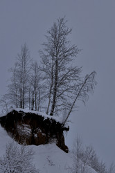 Similar image 21490104