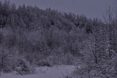 Similar image 21490109