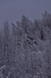 Similar image 21490110