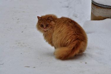 Similar image 21490111